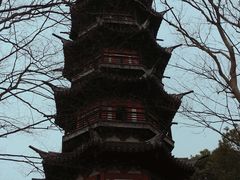 -上海佘山国家森林公园西佘山园