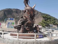-大连老虎滩海洋公园