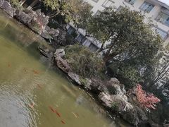 -苏苑饭店-中餐厅(长桥地区店)