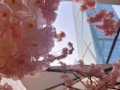 -福田卓悦INTOWN购物中心
