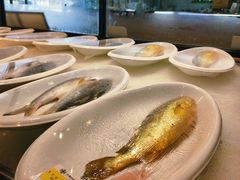 -佳丽海鲜大酒楼(环岛海景店)