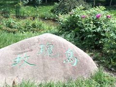 -鹅湖玫瑰文化园