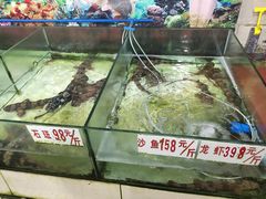 -龙记园海鲜坊(免税城店)