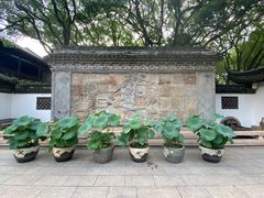 -上海醉白池公园