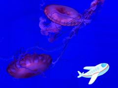 -暹罗海洋世界