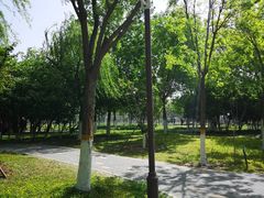 -回龙观体育文化公园