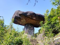 -玉苍山国家森林公园
