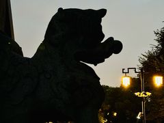 -北陵公园