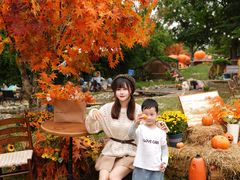 -HERRE·FARM 赫尔露营农场·团建聚会包场