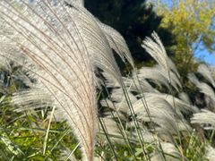 -北京雁栖湖国际会展中心