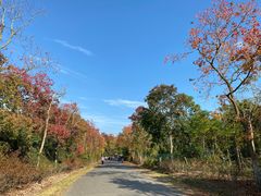 -上海海湾国家森林公园