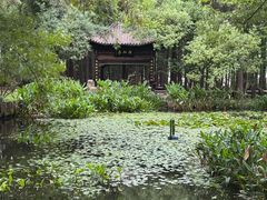 -东湖落雁景区