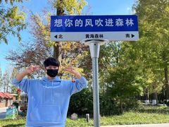 -黄海国家森林公园