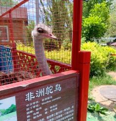 -萌宠亲子动物乐园(槐房万达店)