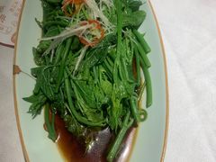-雲蜀龙阁·金牌水煮鱼(方庄店)