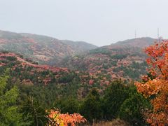 -鬼笑石后山停车场