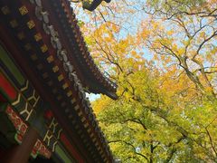 -灵谷景区