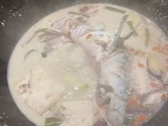 -鲜潭蒸汽石锅鱼(五道口购物中心店)