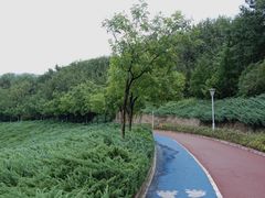 -滨河世纪广场公园