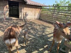 -安德鲁户外烧烤帐篷营地(马泉营店)