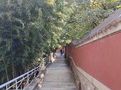 -潭柘寺景区