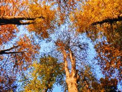 -华南国家植物园-售票处