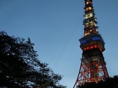 -东京塔海贼王主题公园