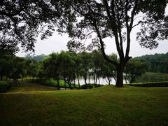 -福建鲤鱼洲酒店