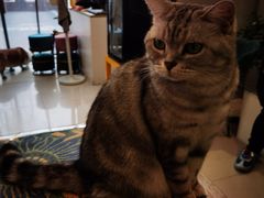 -平行世界·猫咖(首经贸店)