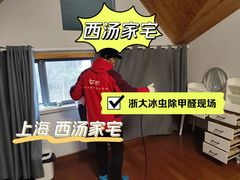 -浙大冰虫甲醛检测治理(闵行店)