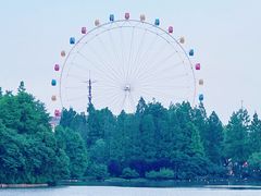 -上海野生动物园
