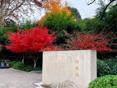 -习家池