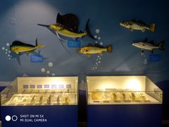 -烟台海昌鲸鲨海洋公园