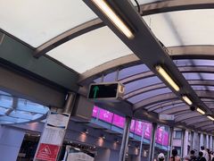 -中环半山扶手电梯