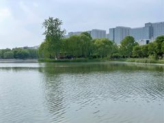 -大兴滨河森林公园