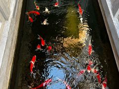 -鲤院·新中式美学·庭院餐厅(夫子庙店)