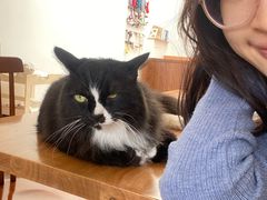 -有猫主题·治愈系猫咖(曾厝垵店)