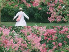 -杭州城北体育公园