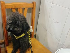 -东北风情(康桥路店)