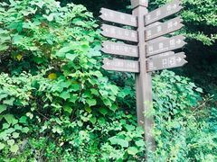 -宝岩生态观光园