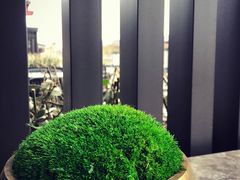 -德发长·花式蒸饺(大唐不夜城店)