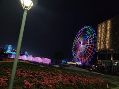 -琴岛之星摩天轮