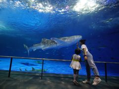 -鹿儿岛水族馆