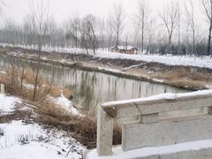 -东郊湿地公园