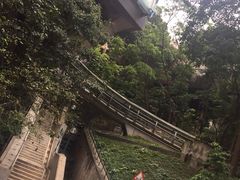 -香港大学