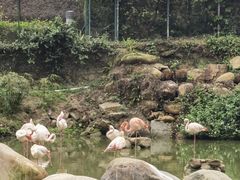 -石排湾郊野公园