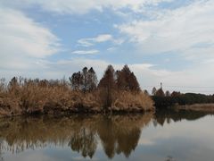 -宁波杭州湾国家湿地公园