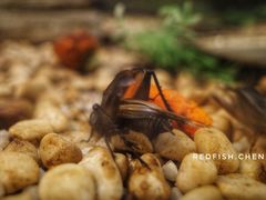 -上海昆虫博物馆