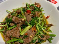 -壹盏灯(惠农店)