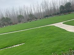 -合肥滨湖国家森林公园